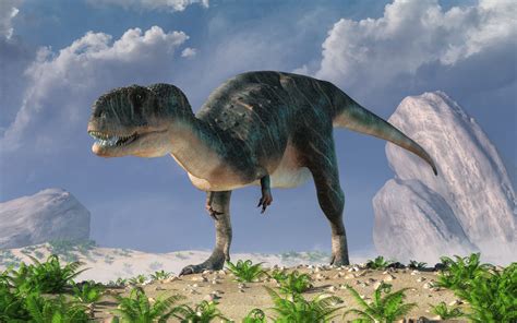 largest megaraptor discovered  argentina earthcom