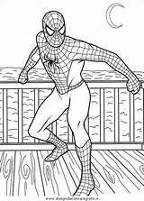 Ragno Uomo Spiderman Disegno Colorare Cartoni Cartone sketch template