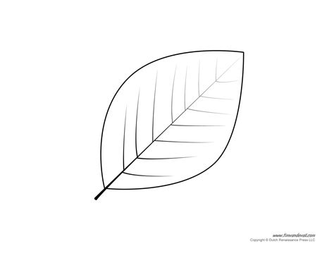leaf outline template