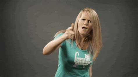 thechive gifs find share  giphy