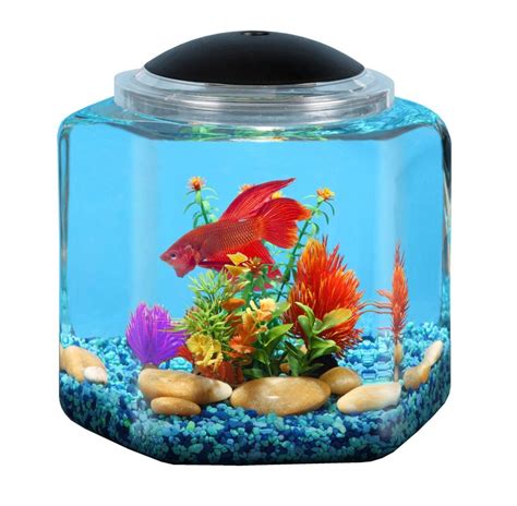 gallon aquariums kits  fish tank bank