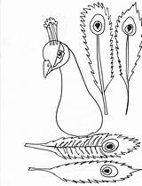 Peacock Coloring Template Pages Feather Kids Printable sketch template