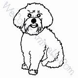 Maltese Coloring Dog Pages Click sketch template