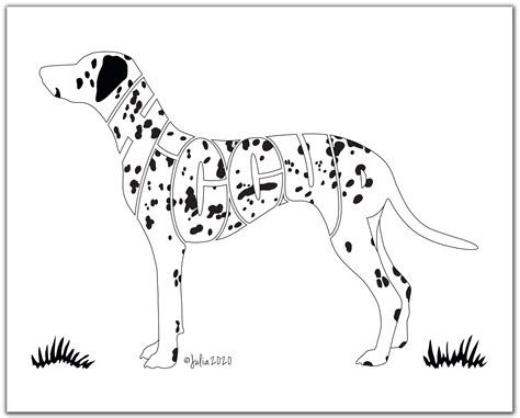 perfect gift   dalmatian lover      larger