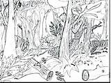Rainforest Coloring Pages Printable Tropical Getcolorings Print Getdrawings sketch template
