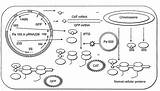 Sketch Ribosomes Template sketch template
