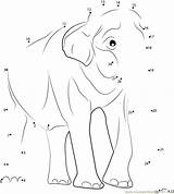 Dots Connect Printable Adults Popular Animals Elephant sketch template