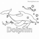 Dolphin Coloring Bottlenose Pages Getcolorings Printable Getdrawings sketch template