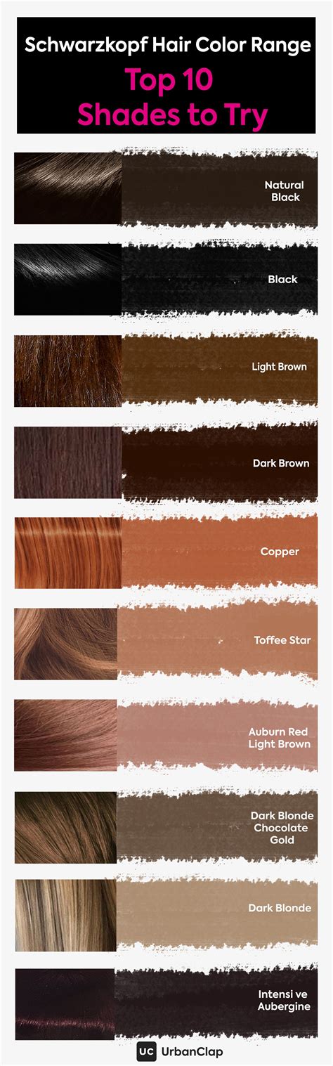 Different Shades Of Light Brown Hair Color Hairstyle Arti 241
