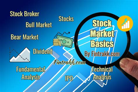 ayirim arasinda balya balinasi learn stock market basics dunwichtechcom