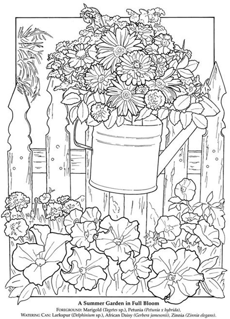 coloring flowers images  pinterest coloring books
