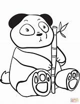 Panda Coloring Pages Cute Bamboo Holding Drawing Cartoon Branch Giant Realistic Printable Kawaii Adults Color Print Baby Getcolorings Bears Template sketch template