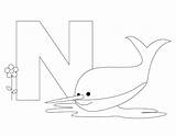 Alphabet Narwhal Alfabeto Shark Coloritura Animale Serpente Lettre Bestcoloringpagesforkids sketch template