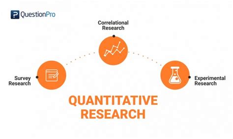 quantitative research definition methods types  examples