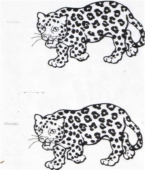 jaguar coloring page coloring home