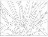 Drawing Grass Sketch Grasses Pencil Quilt Creating Part Getdrawings Gif Ago While Did Cloth Color Variations sketch template