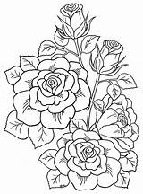Coloring Pages Rose Printable Choose Board Abstract sketch template