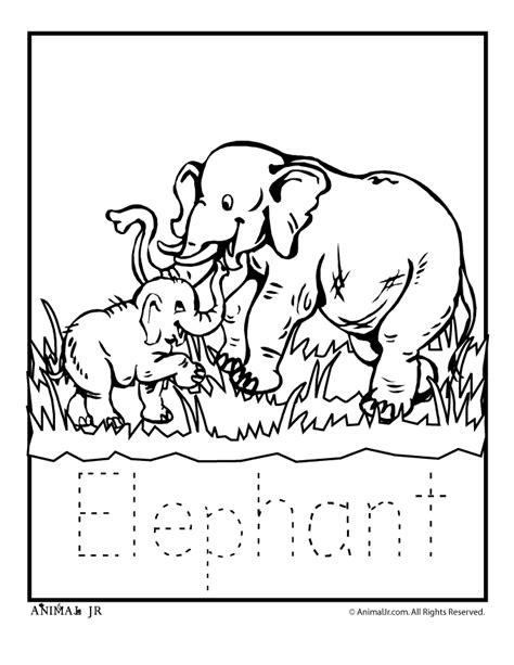 zoo animal templates coloring home