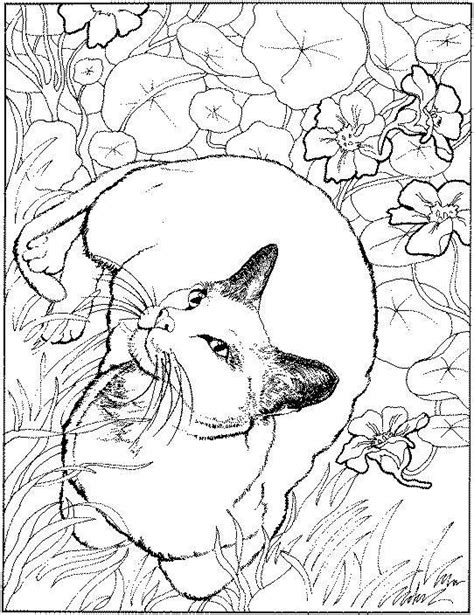 january coloring pages   getdrawings