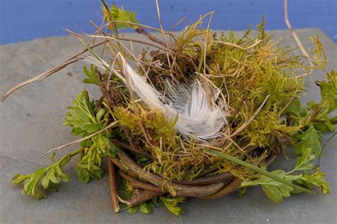 making bird nests sensory trust