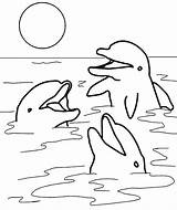 Golfinho Golfinhos sketch template