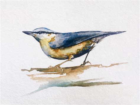 Bird Watercolor Painting Tutorial By Christopher P Jones