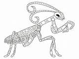Mantis Religiosa Mantide Adultos Depositphotos Ilustración Printmania sketch template