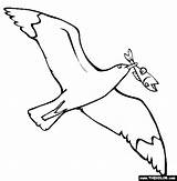 Gaviota Gaviotas Seagull Volando Peixe Gull Bico Iluminar Tudodesenhos Imagui sketch template