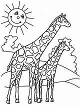 Coloring Pages Giraffes Print Animal sketch template