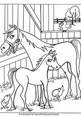 Paarden Manege Wedstrijd Printen sketch template