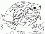 Coloring Sea Pages Animals Animal Ocean Life Printable Realistic Drawing Creatures Template Fish Colouring Kids Drawings Templates Water Creature Getdrawings sketch template