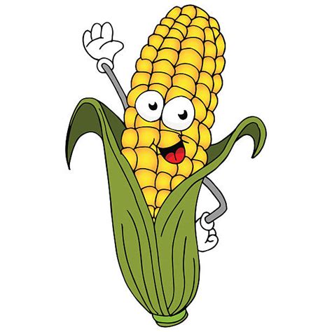 Best Cartoon Of A Corn Stalk Illustrations Royalty Free Vector
