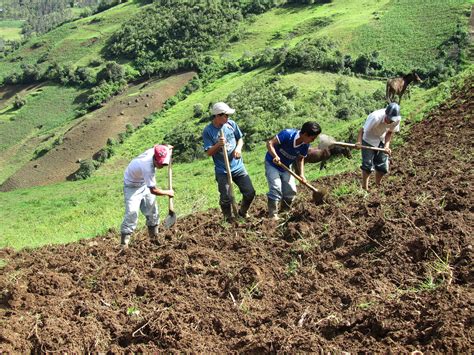 jóvenes rurales están invisibilizados