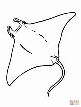 Manta Coloring Stingray Ray Pages Drawing Printable Para Colorear Corvette Supercoloring Google Imagen Color Print Pez Colouring Rays Getcolorings Fish sketch template