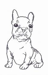 Bulldog Coloring French Pages Terrier Boston Printable Color West Cute Puppy Kids Print Drawing Highland English Getcolorings Getdrawings Library Nice sketch template