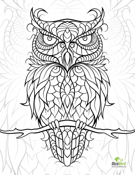 sugar skull owl coloring pages  getcoloringscom  printable
