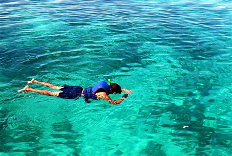 places   snorkeling  hawaii discount hawaii