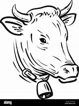 Kuh Skizze Cow Mucca Glocke Vettoriale Animale Fattoria Campana Kuhkopf Kopf Domestic Salva sketch template