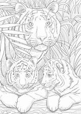 Mandala Tigers Adults Coloriage Ausmalbilder Favoreads Malen Erwachsene Zahlen Imprimer Dessin Ausmalbild Wildtiere Mandalas Epingle Coloriages Malbuch Coloringpage Zeichenvorlagen Weihnachtskatzen sketch template