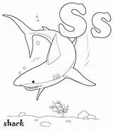 Coloring Pages Shark Kids Letter Preschool Sharks Alphabet Color Activities Theme sketch template