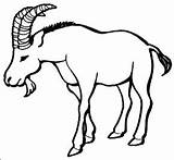 Goat Horns sketch template