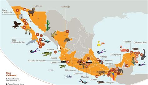 top  imagenes de las areas naturales protegidas de mexico