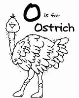 Ostrich Coloring Ox Musk Color Print Pages Getcolorings Size sketch template