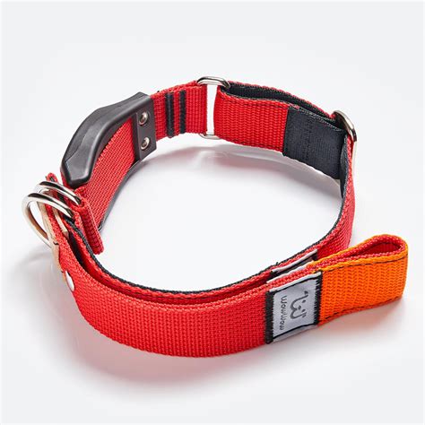 wowwow professional hundehalsband mit leine rot