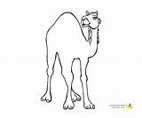 Camel Coloring Pages sketch template