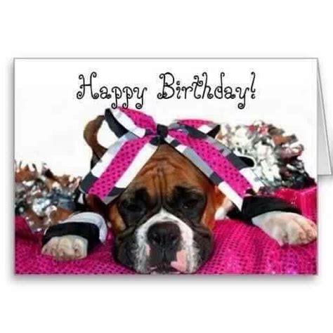 94 Best Images About Boxers Birthdays On Pinterest