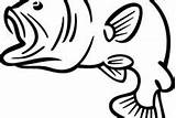 Fish Bass Coloring Pages Outline Fishing Fun sketch template