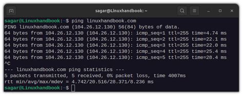 ping  ipv address  linux command