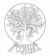Mandalas Mandala Baum Zum Herbst Ausdrucken Mit Für Coloring Den Ausmalen Coloriage Enfant Colorier Kinder Und Arbre Vie Imprimer Malvorlagen sketch template