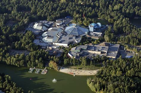 aerial view   building   middle  trees  water  boats